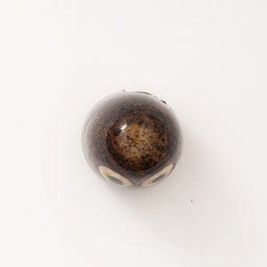 Birds Little Barn Owl ブラウン 0245