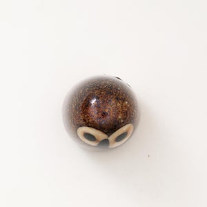 Birds Little Barn Owl ブラウン 0252