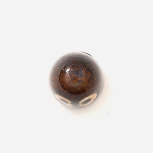 Birds Little Barn Owl ブラウン 0253