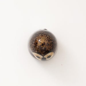 Birds Little Barn Owl ブラウン 0255