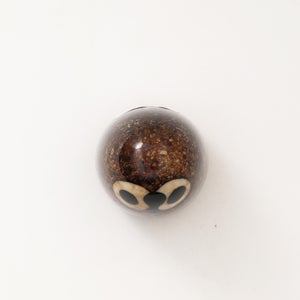 Birds Little Barn Owl ブラウン 0257