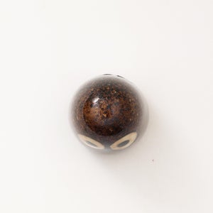 Birds Little Barn Owl ブラウン 0258