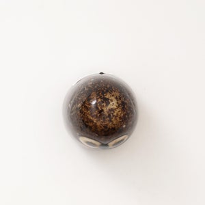 Birds Little Barn Owl ブラウン 0296