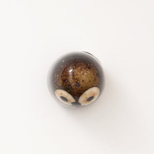 Birds Little Barn Owl ブラウン 0299