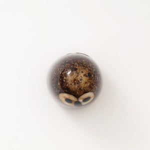 Birds Little Barn Owl ブラウン 0306