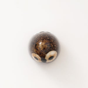 Birds Little Barn Owl ブラウン 0307