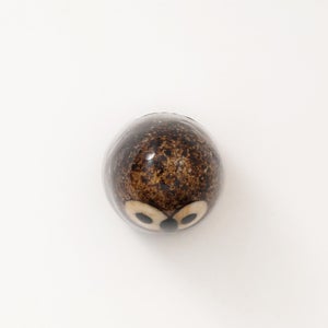 Birds Little Barn Owl ブラウン 0310