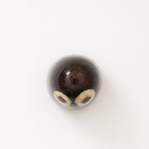 Birds Little Barn Owl ブラウン 0313