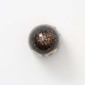 Birds Little Barn Owl ブラウン 0370