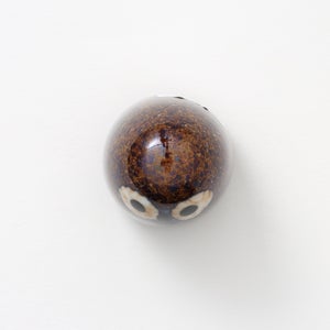 Birds Little Barn Owl ブラウン 0371