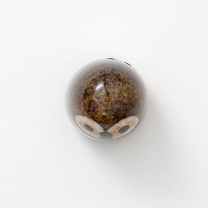 Birds Little Barn Owl ブラウン 0372