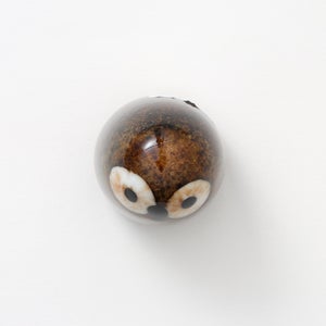 Birds Little Barn Owl ブラウン 0373