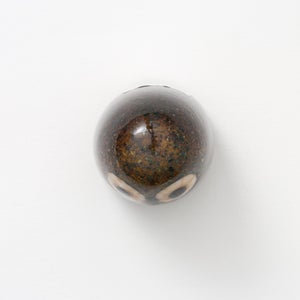 Birds Little Barn Owl ブラウン 0374