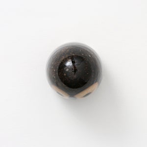 Birds Little Barn Owl ブラウン 0376