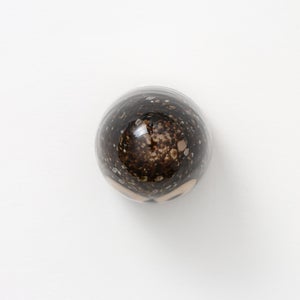 Birds Little Barn Owl ブラウン 0378