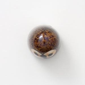 Birds Little Barn Owl ブラウン 0379