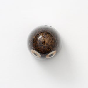 Birds Little Barn Owl ブラウン 0380