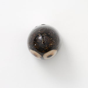 Birds Little Barn Owl ブラウン 0382