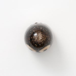 Birds Little Barn Owl ブラウン 0384