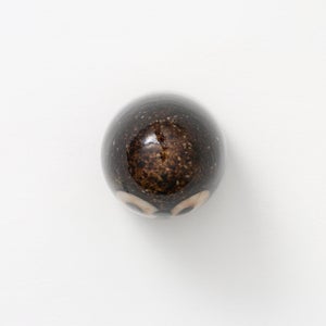 Birds Little Barn Owl ブラウン 0385