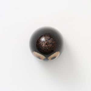 Birds Little Barn Owl ブラウン 0386