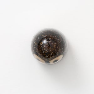 Birds Little Barn Owl ブラウン 0387