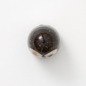 Birds Little Barn Owl ブラウン 0388