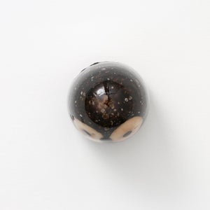 Birds Little Barn Owl ブラウン 0389