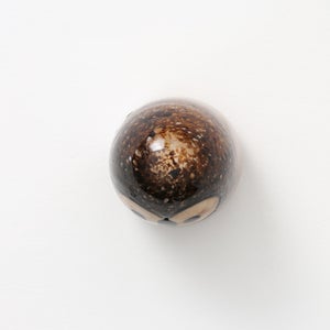 Birds Little Barn Owl ブラウン 0391