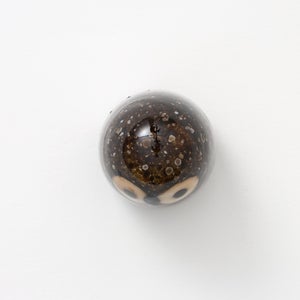 Birds Little Barn Owl ブラウン 0392