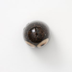 Birds Little Barn Owl ブラウン 0393