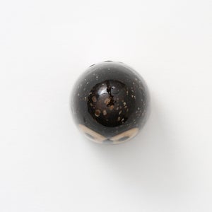 Birds Little Barn Owl ブラウン 0394