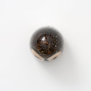 Birds Little Barn Owl ブラウン 0395