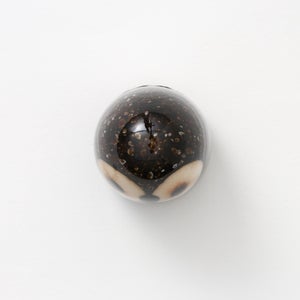 Birds Little Barn Owl ブラウン 0396