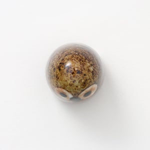 Birds Little Barn Owl ブラウン 0398