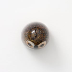 Birds Little Barn Owl ブラウン 0399