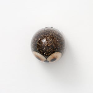 Birds Little Barn Owl ブラウン 0400