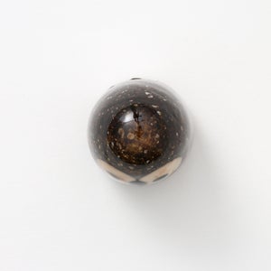 Birds Little Barn Owl ブラウン 0401