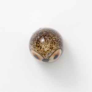 Birds Little Barn Owl ブラウン 0402