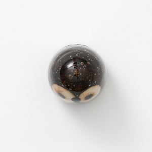 Birds Little Barn Owl ブラウン 0404