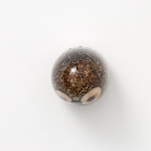 Birds Little Barn Owl ブラウン 0405