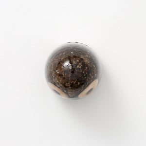 Birds Little Barn Owl ブラウン 0407