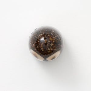 Birds Little Barn Owl ブラウン 0408