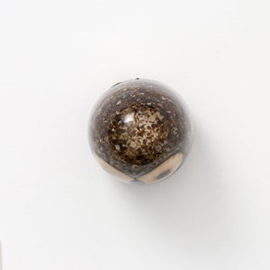 Birds Little Barn Owl ブラウン 0409