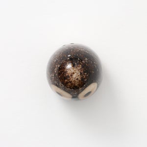 Birds Little Barn Owl ブラウン 0411