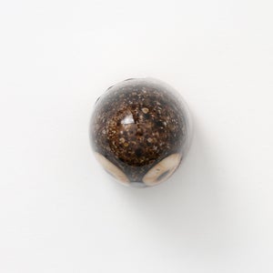 Birds Little Barn Owl ブラウン 0412