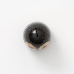 Birds Little Barn Owl ブラウン 0414