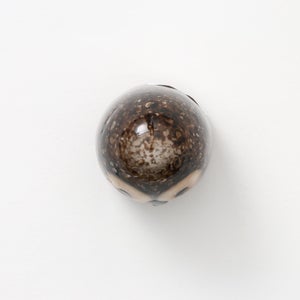 Birds Little Barn Owl ブラウン 0416