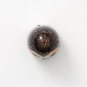 Birds Little Barn Owl ブラウン 0417