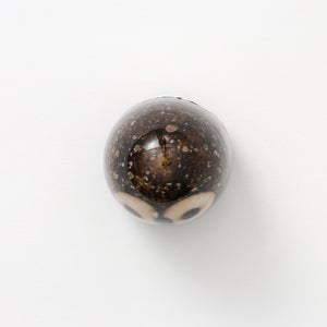 Birds Little Barn Owl ブラウン 0418